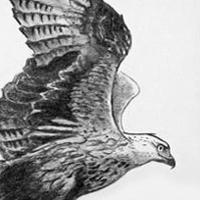 Rod Cleasby, traditional artist