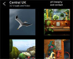 Animated video: Web Site Design